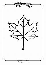 Leaf Simple Leafs Coloring Template Pages sketch template