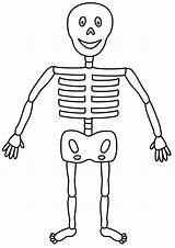 Skeleton Kids Coloring Drawing Halloween Pages Clipart Human Skeletons Copy Half Draw Printable Cliparts Drawings Body Clip Showcase Print Step sketch template