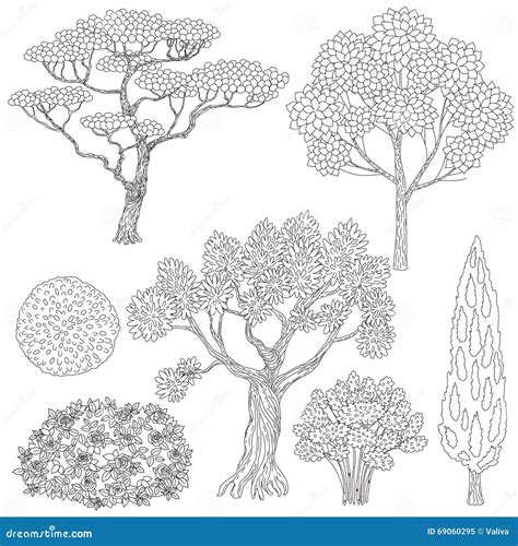 black  white outlines trees  bushes stock vector image