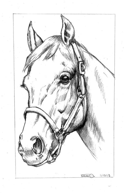 easy horse head drawings  pencil