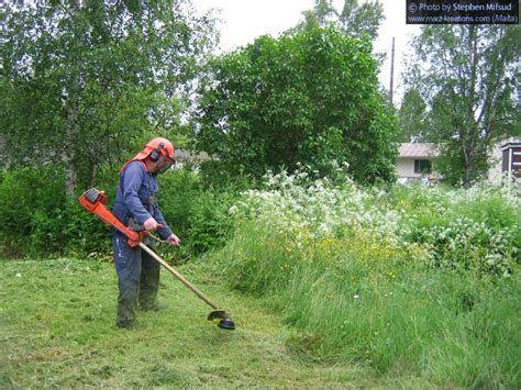 featured keen care gardening  lawn services