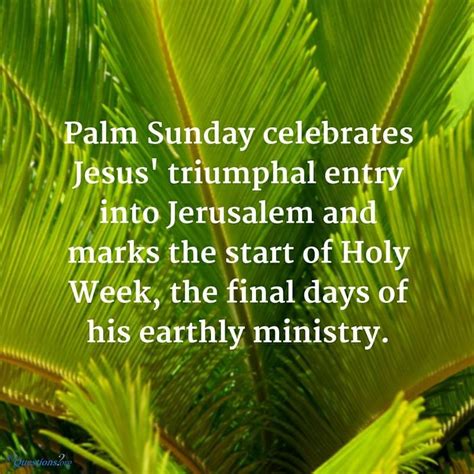 palm sunday celebrates jesus pictures   images  facebook