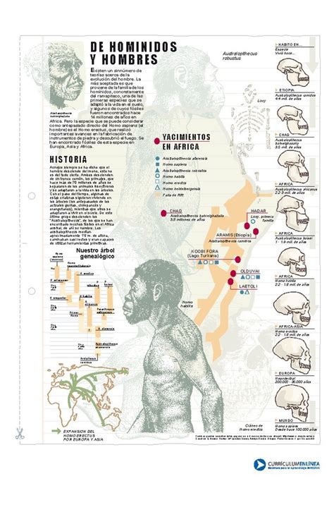 historia de hominidos  hombres drawing  human head human migration prehistoric man early