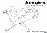 Pages Archaeopteryx Dinosaurs Bird Templates Dentistmitcham sketch template