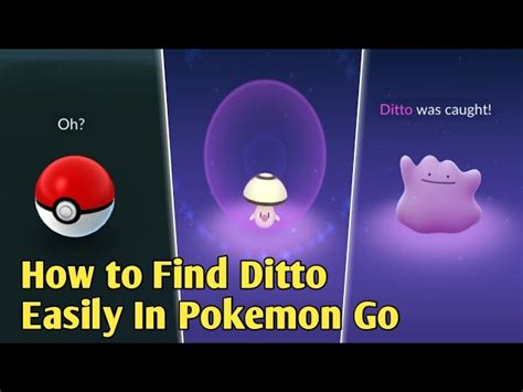how to catch ditto in pokemon go 2020 easy to find ditto in just 1