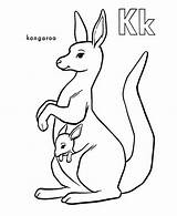 Kangaroo Kangourou Joey Netart Kangaroos Colorier Coloring Coloriages sketch template