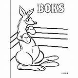 Coloring Boxing Kangaroo Pages Ring Printable Quality Print High Click Getdrawings Drawing sketch template