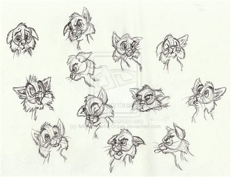 Cartoon Cat Facial Expressions Drawing Expressions Cat