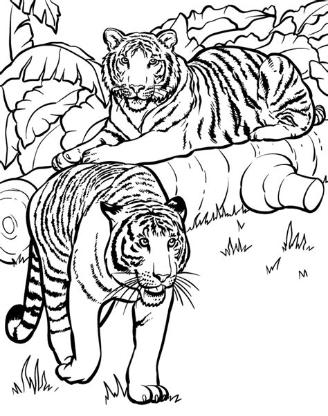coloring pages  wild animals coloring home