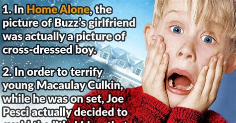 misbehaved facts about home alone