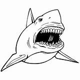 Frightening Basking Reef Sharks Getdrawings sketch template