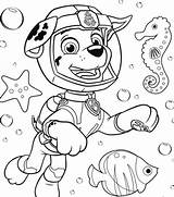Coloring Kolorowanki Skye Pup Zuma Underwater Coloringpagesonly Malvorlagen Canina Ausmalen Dzieci Darmowe Pfoten Patrulla Ausmalbild sketch template