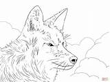 Coyote Howling Coyotes Getdrawings Onlinecoloringpages sketch template