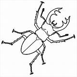 Beetle Coloring Stag Drawing Insect Pages Beetles Insects Color Outline Rhino Scarab Bug Bugs Drawings Deviantart Line Google Simple Draw sketch template