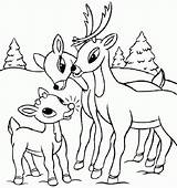 Deer Coloring Pages Baby Cute Kids Printable Buck Whitetail Family Skull Print Drawings Easy Colouring Color Getcolorings Rated Drawing Comments sketch template