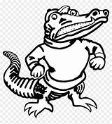 Gators Gator Amphibian Alligator Pngfind Crocodile Clipartmax Jing Insertion Codes Kindpng Nicepng sketch template
