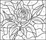 Number Color Coloring Pages Advanced Adults Printable Print Getcolorings sketch template