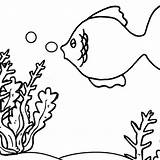 Coral Reefs sketch template