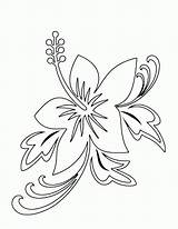 Coloring Flower Pages Hawaiian Popular sketch template