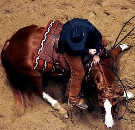 images  cutting horses  pinterest saddles barrel racing  trainers