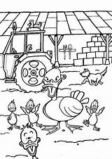 Ferme Ducks Farm Pato Patos Granja Patinho Ausmalen Hellokids Folie Ente Duckling Cour Tracteur Basse Colorier Poule Tulamama Fazenda Bauernhoftiere sketch template