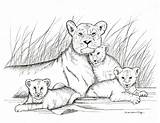 Drawing Baby Lions Mother Lion Pencil Lioness Print Drawings Cubs Cub Draw Animal Tattoo Her Animals Cute Etsy Hippo sketch template