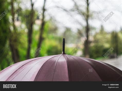 photo umbrella rain image photo  trial bigstock