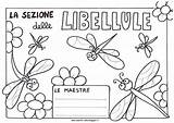 Sezione Libellule Maestra Lumache Crisalidi Farfalle sketch template