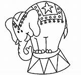 Circo Elefante Elefantes Dibujos Actuando Elefant Actuant Colorare Scena Animais Dibuixos Dibuix Foca Haciendo Tarefas sketch template