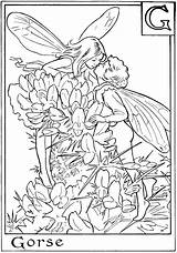 Fairies Color Print Coloring Fairy Pages Printable Kids Adult Flower Colouring Flowers Adults Sheets Fantasy Gorse Detailed Gif Some Books sketch template