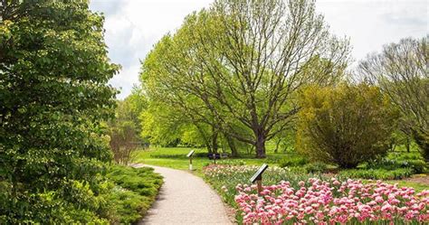 arboretum reopens  limited hours uknow