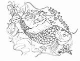 Coy Fish Sketch Coloring Pages sketch template
