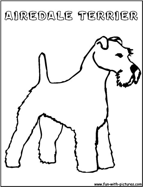 airedaleterrier coloring page