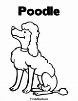 Poodle Poodles Template sketch template