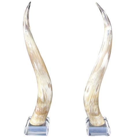 extra tall pair  lucite mounted steer horns  stdibs
