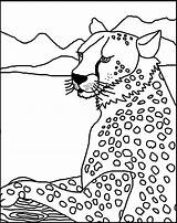 Coloring Pages Cheetah Colouring Printable Kids Print Sheets Cheetahs Popular Library Clipart Coloringhome Thekidzpage sketch template