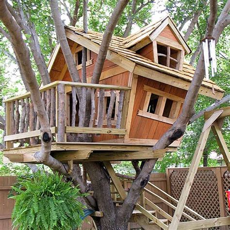 tips  building  treehouse family handyman