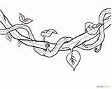 Vines Vine Jungle Draw Drawing Tree Leaves Tattoo Wikihow Drawings Simple Thorn Line Hanging Tattoos Clipart Flower Sketch Plant Twisted sketch template