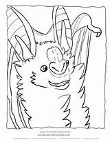 Coloring Bat Vampire Pages False Realistic Animal Colouring Clip Library Coloringhome Popular sketch template
