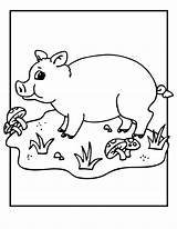 Coloring Pig Pages Kids Printable Pigs Baby Mushrooms Grasses Bestcoloringpagesforkids Colouring Template Sheets Cute Farm Cartoon Valentine Animal Printables Print sketch template