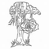 Tree Coloring Pages Maple Syrup Little Fig Top Cypress Ones Bald Getdrawings Color Getcolorings Printable Print African Colorings Apple sketch template