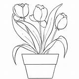 Maceta Tulipanes sketch template
