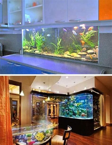 home aquarium ideas   cost home decorating ideas