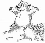 Groundhog Coloring Color Pages Printable Hog Ground Phil Punxsutawney Preschool Sheet Print Drawing Sheets Activities Kids Quotes February Animals Activity sketch template
