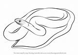 Snake Draw Racer Blue Drawing Step Snakes Tutorials sketch template