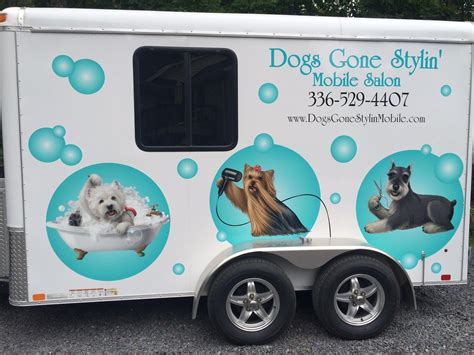 luxury paws mobile pet grooming wellness info  pet parents