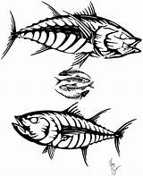 Tuna Drawing Bonefish Yellowfin Fish Getdrawings Bone sketch template