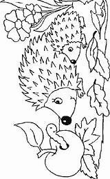 Kleurplaat Igel Ausmalbild Ausmalen Egels Kleurplaten Egel Igeln Colorat Hedgehogs Basteln Kostenlose Frisch Pooh Winnie Malvorlage Herbstbild Baum Erwachsene Animale sketch template