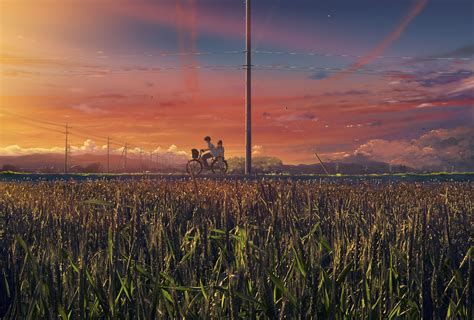 anime field wallpapers top  anime field backgrounds