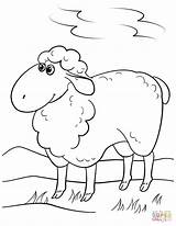 Sheep Coloring Cartoon Pages Cute Lamb Drawing Printable Getdrawings Crafts Birijus Through Letter Categories sketch template